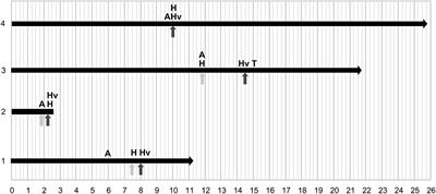 ROHHAD syndrome without rapid-onset obesity: A diagnosis challenge